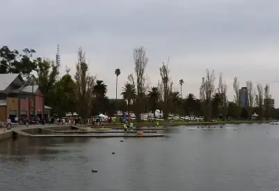 Festive dining table setup for corporate Christmas function